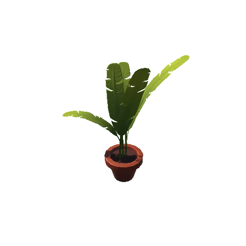 Plant_1