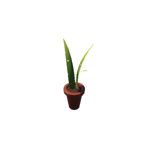 Plant_2