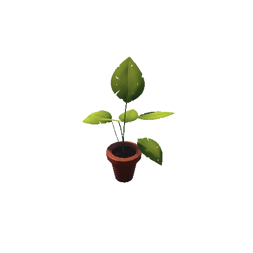 Plant_3