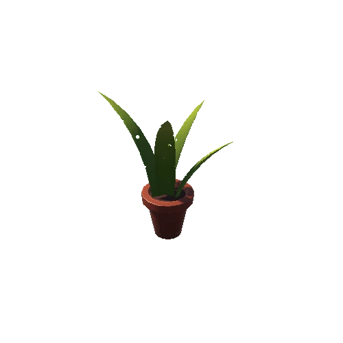 Plant_4