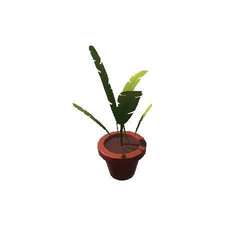 Plant_6