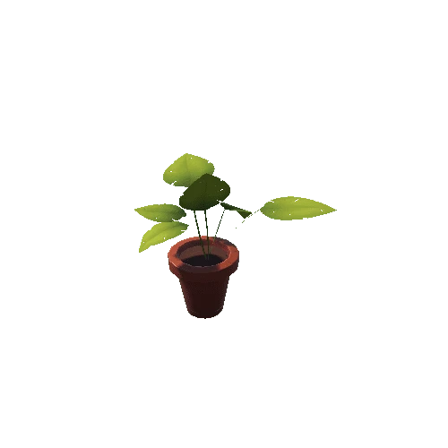 Plant_7