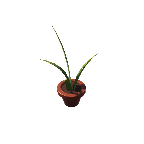 Plant_8