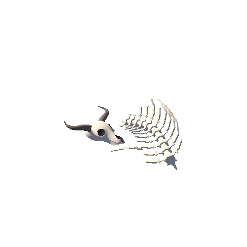 Bones1