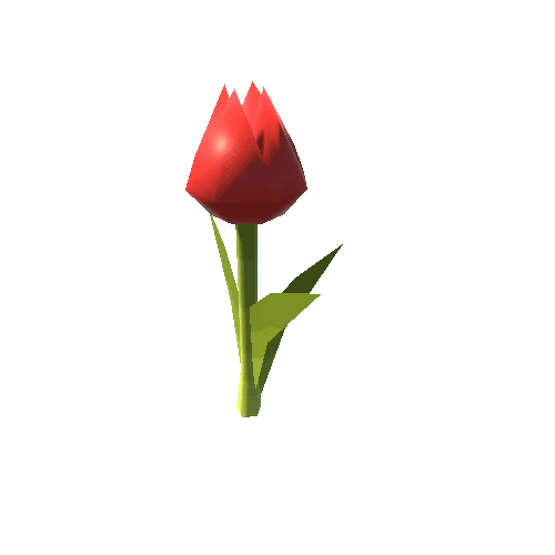 Tulip1