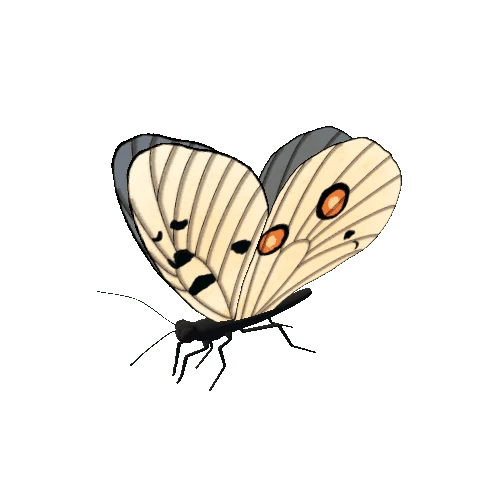 Butterfly_Animated_F_v1