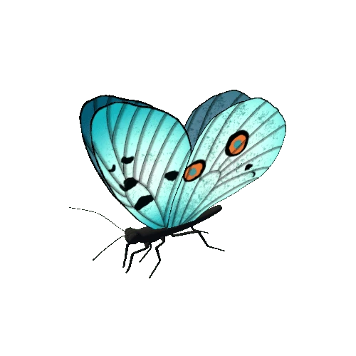 Butterfly_Animated_F_v2