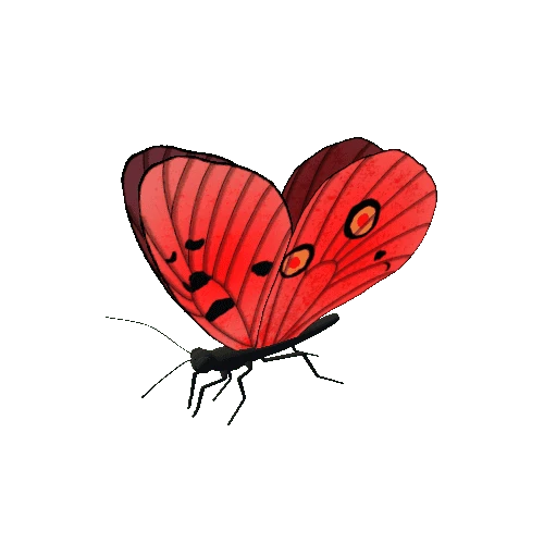 Butterfly_Animated_F_v3