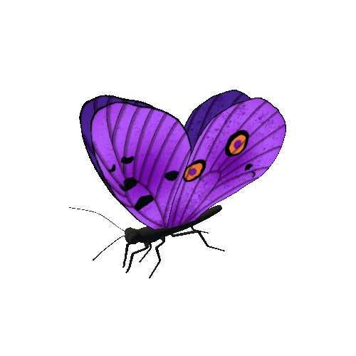 Butterfly_Animated_F_v5