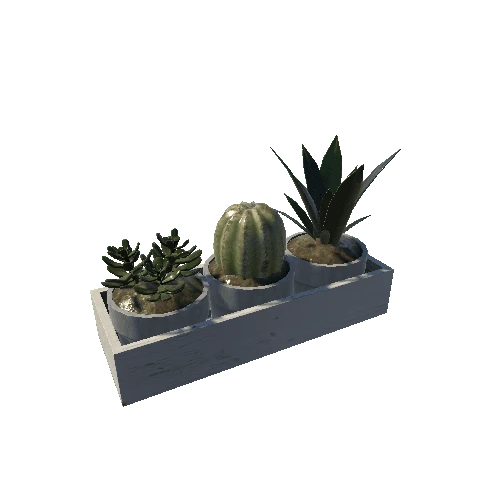 plant_04