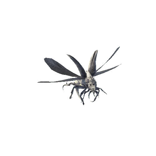 Flying_Beetle6_Skin1