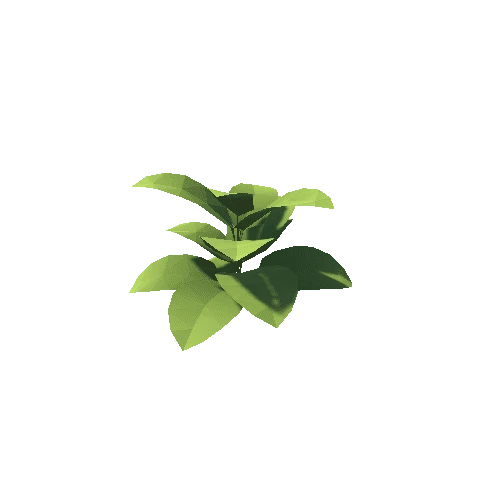 Plant_02