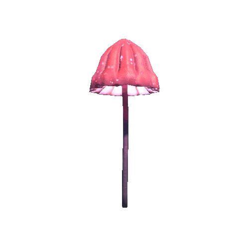 Mushroom3