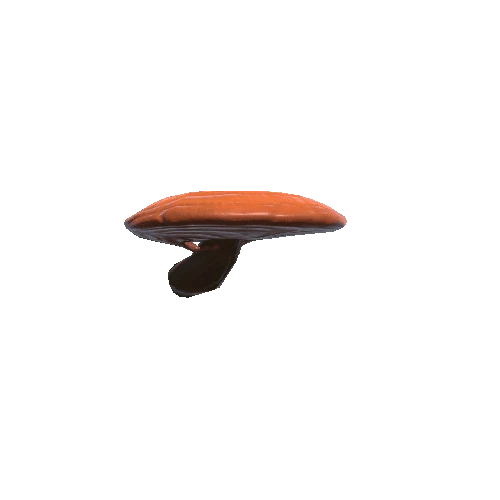 Mushroom4