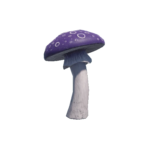 Mushroom7