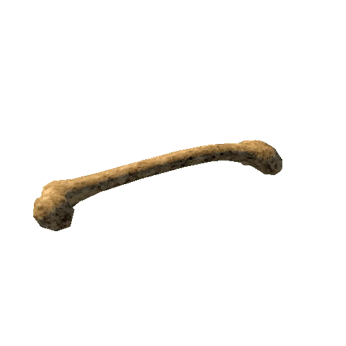 Femur_LODG_FBX_OldBone