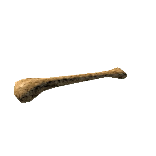 FibulaandTibia_LODG_FBX_OldBone