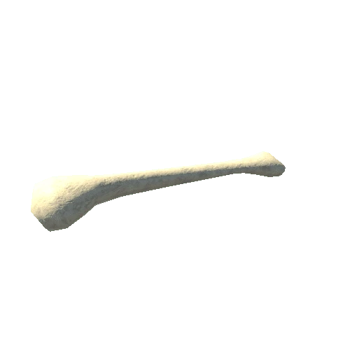 FibulaandTibia_LODG_FBX_WhiteBone