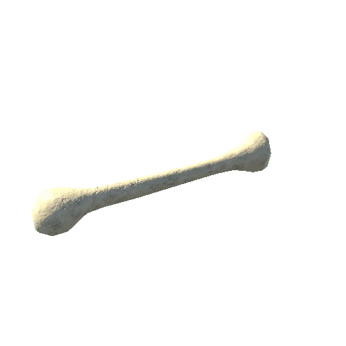 Humerus_LODG_FBX_WhiteBone