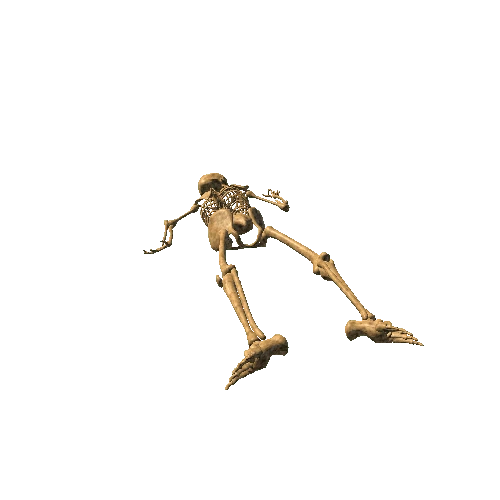 Skeleton_Dead_Laying_LODG_OldBone