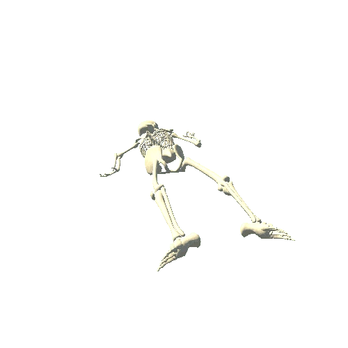 Skeleton_Dead_Laying_LODG_WhiteBone