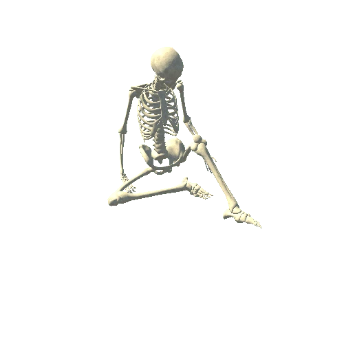 Skeleton_Dead_Sitting_LODG_WhiteBone
