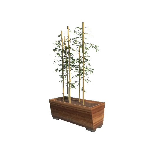 Plant_Bamboo_V1_HDRP