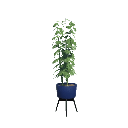 Plant_Bamboo_V2_HDRP
