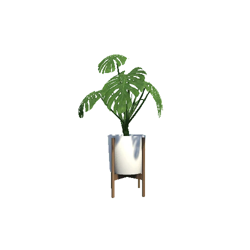 Plant_Philodendron_HDRP