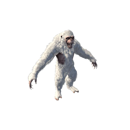 Yeti