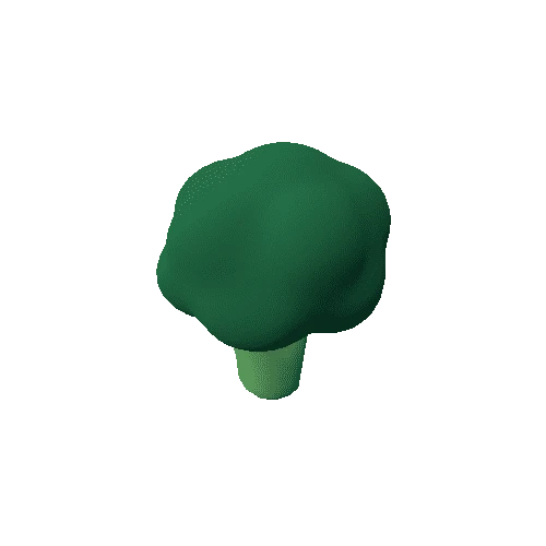 Broccoli_02