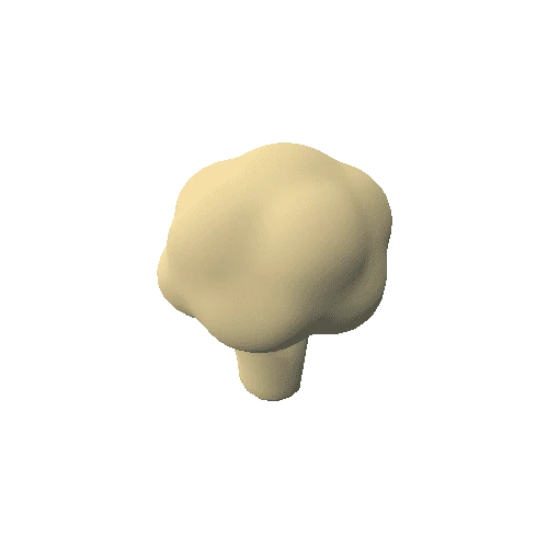 Cauliflower_02