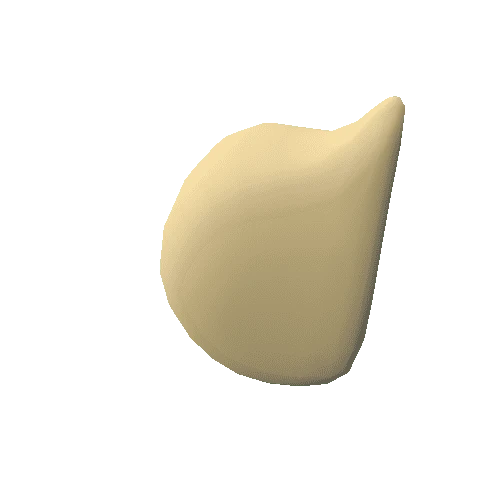 Garlicclove_01