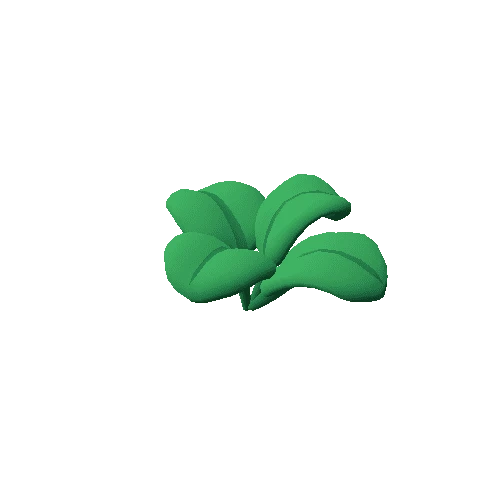 Herb_A_02