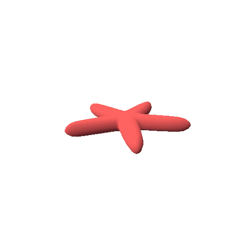 Starfish_02