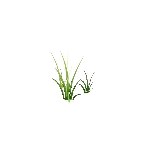Grass_Group_01