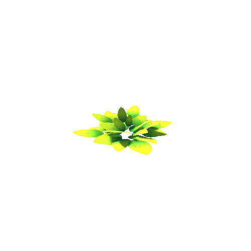 Plant_03