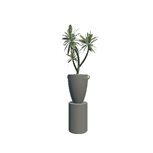 Plant_1