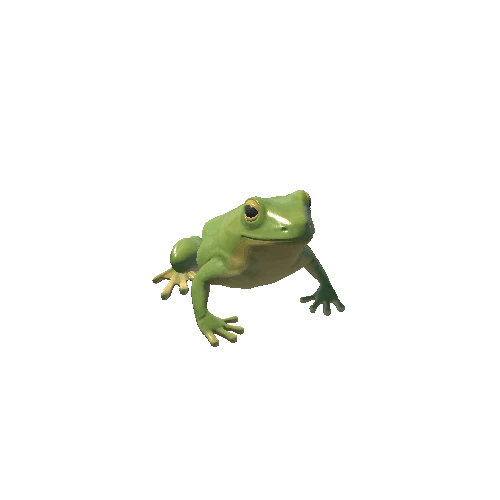 frog_idle