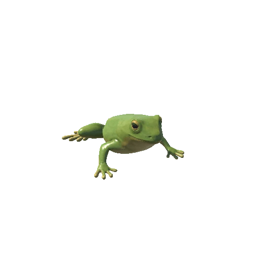 frog_model