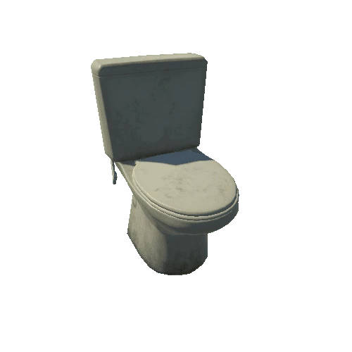 ToiletDirty