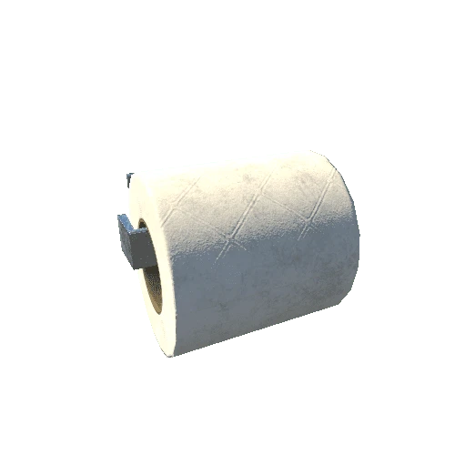 ToiletPaperDirty