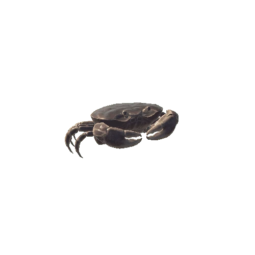 Crab