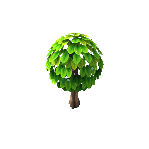 BroadleafTree