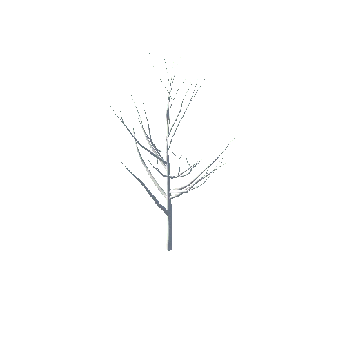 Long_Tree_NoLeaf