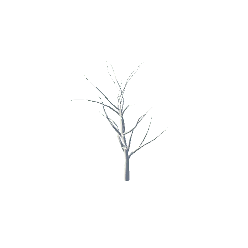 Small_Tree_NoLeaf