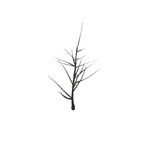 tree1