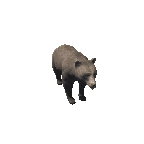 BrownBear_F_GrowMesh