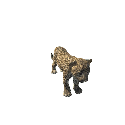 Leopard_Y_GrowMesh