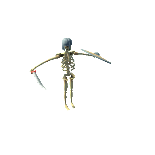 Skeleton2